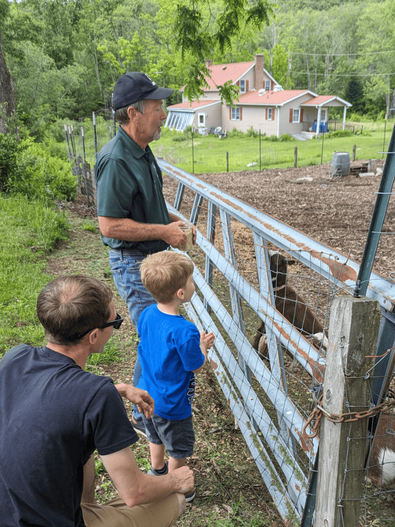 Meeting farm animals on a family farm tour, enjoying nature and learning about rural life.