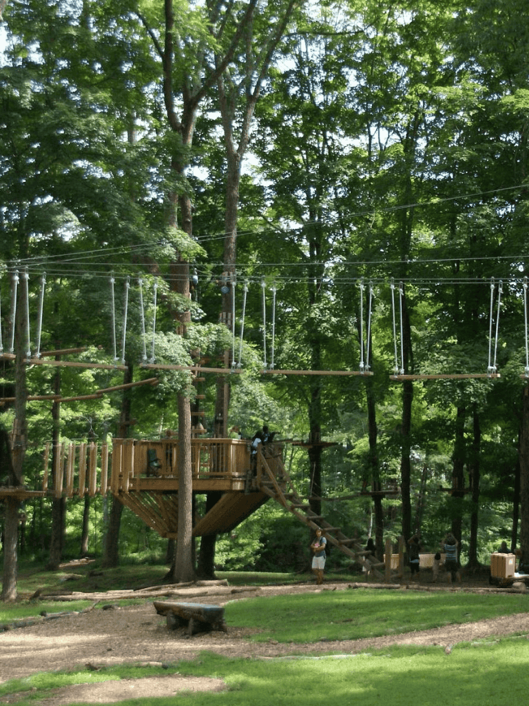 Bright outdoor adventure park with treehouse and canopy walkways in lush green forest setting.