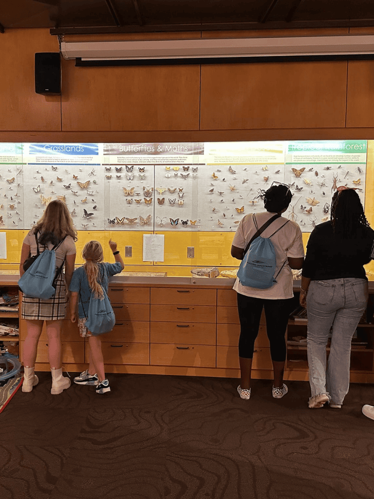 Colorful butterfly exhibit display, visitors exploring butterfly and moth species at QuestForDirections.