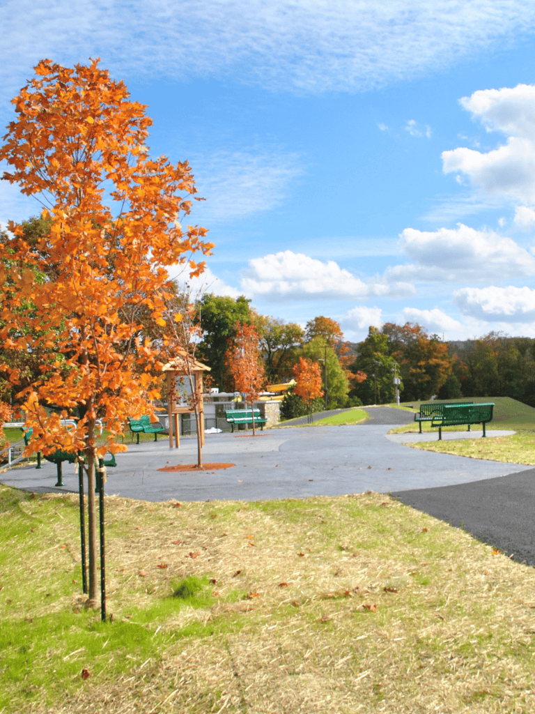 Autumn park with colorful trees, benches, and walking paths in scenic outdoor setting.