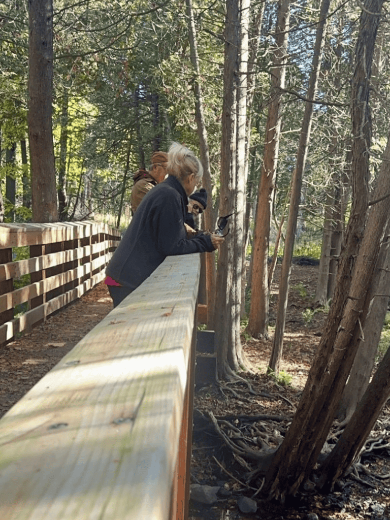 Birdwatchers observing nature on a forest trail, using binoculars and enjoying outdoor exploration.