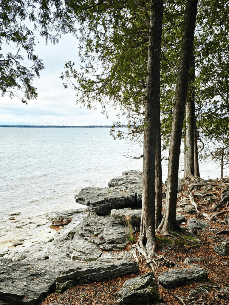 Serene lakeside view with rocky shoreline and tall trees under a cloudy sky.