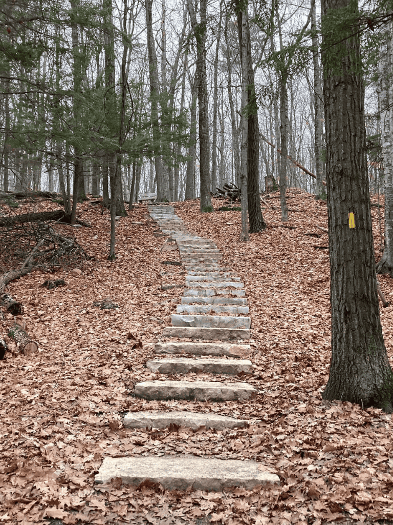 Steep woodland trail with stone steps, perfect for hiking and outdoor adventures.