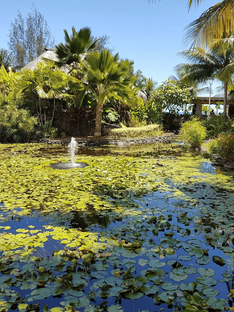 Lush tropical garden with pond and fountain, surrounded by palm trees and exotic plants.
