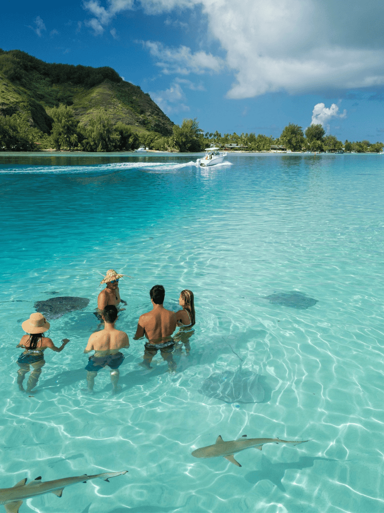 Clear turquoise water with a family enjoying a tropical beach vacation, surrounded by sharks and scenic mountains.