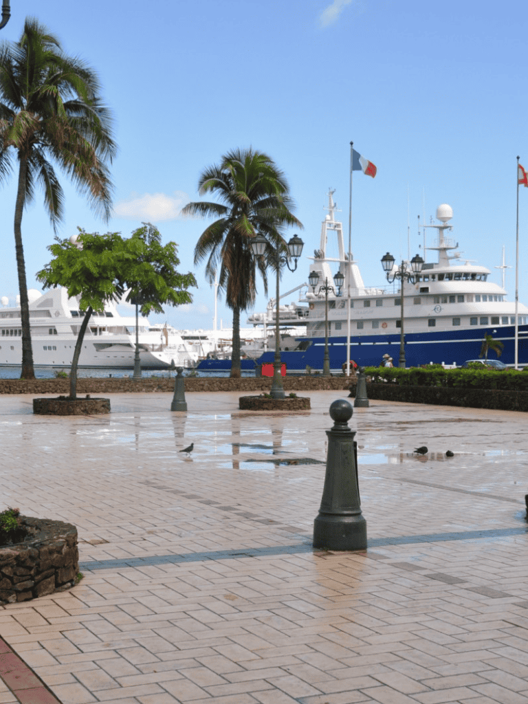 Luxury yacht docked in tropical marina with palm trees and waterfront promenade, showcasing premium travel and boating services.
