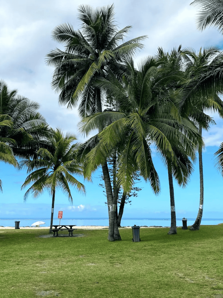 Tropical palm trees on beachfront park with ocean view and picnic table, perfect for relaxing.