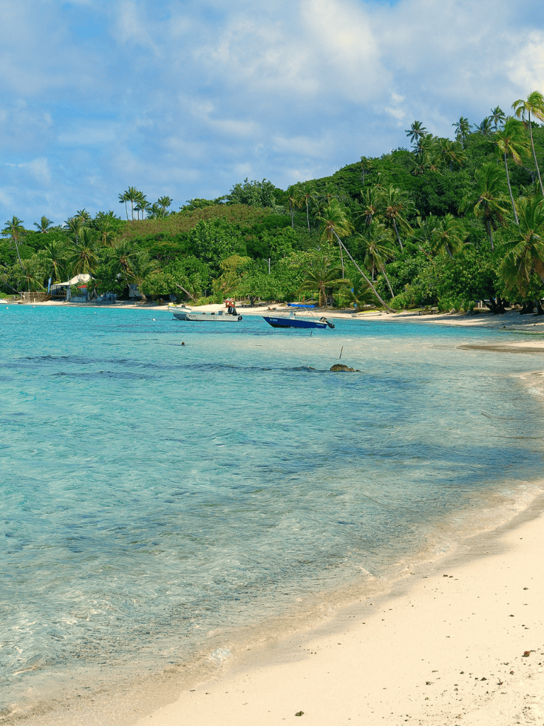 Pristine tropical beach with clear turquoise waters and lush green palm trees scenery.