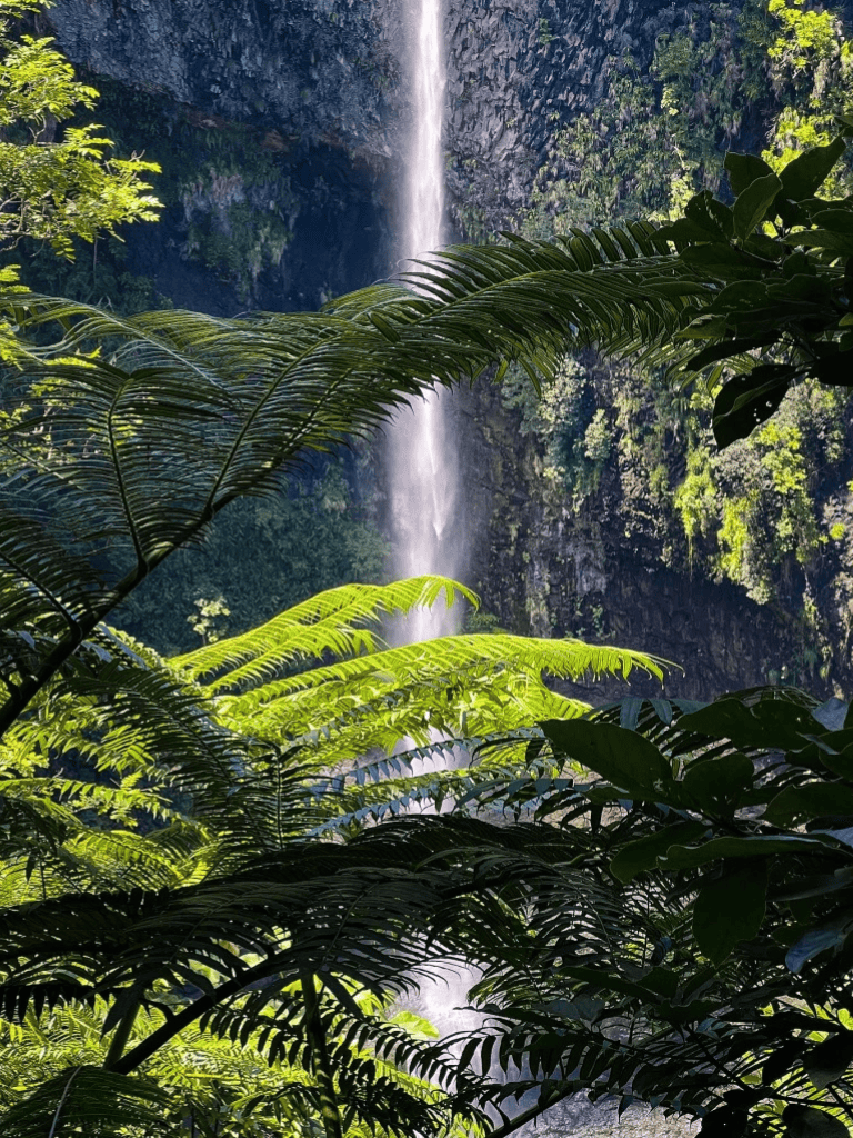 Lush jungle with waterfall and dense greenery, scenic natural landscape, perfect for adventure travel.