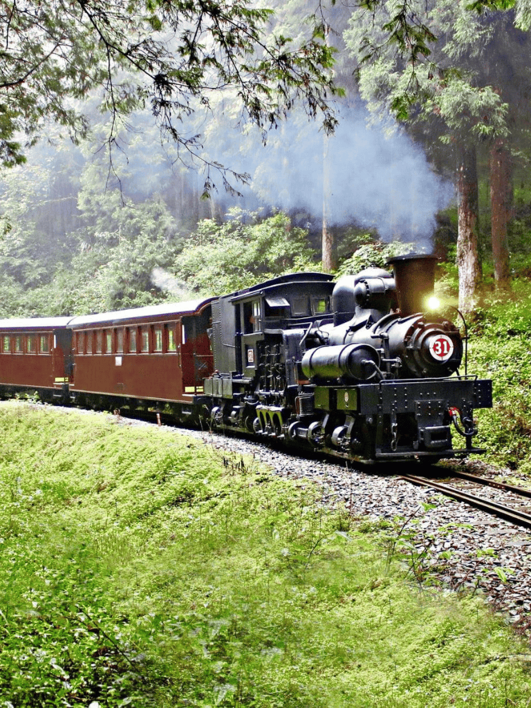 Vintage steam train traveling through lush green forest landscape.