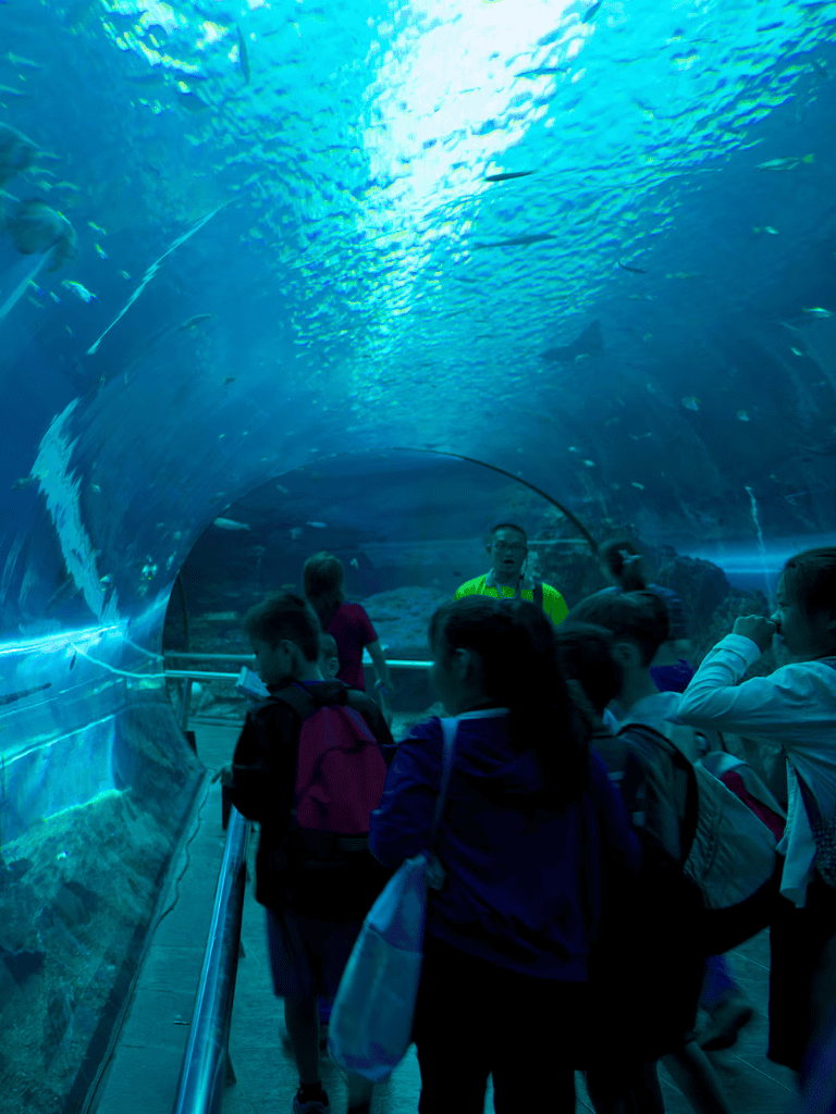 Colorful underwater tunnel at Quest for Directions Aquarium with children viewing sea creatures.