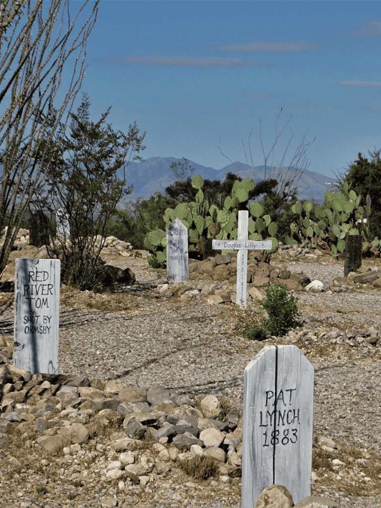 Weathered wooden trail markers in a desert landscape with cacti and distant mountains.