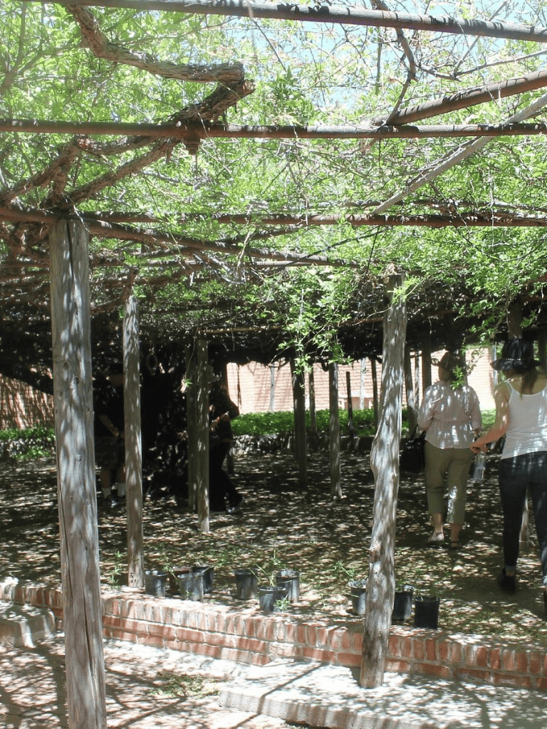 Lush green outdoor garden with wooden pergola and people walking, gardening, and enjoying nature.