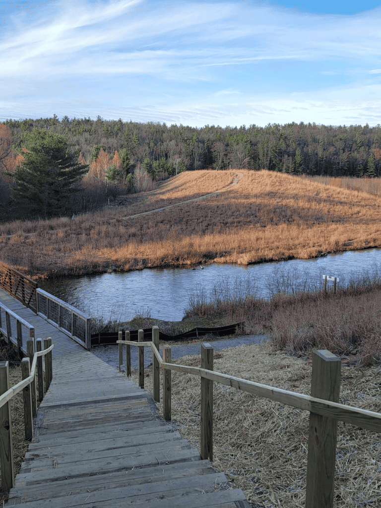 Tranquil nature scene with a wooden staircase by a river and grassy hills under a blue sky.