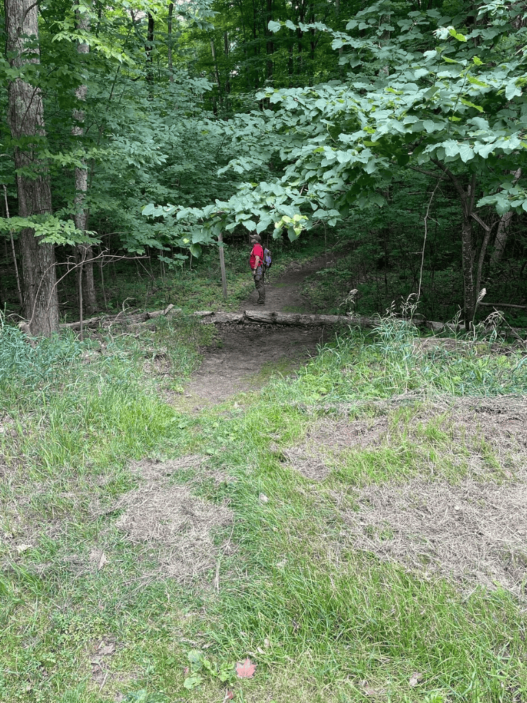 Dense forest trail with hiker using QuestForDirections navigation tools.