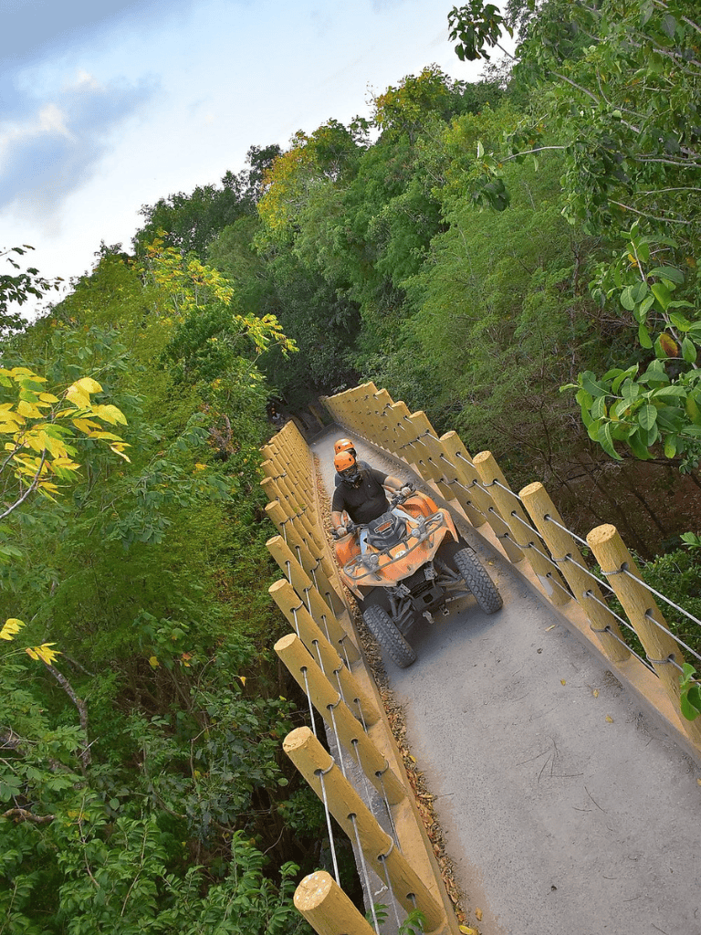 Off-road ATV riding through forested trail with safety barriers and lush greenery.