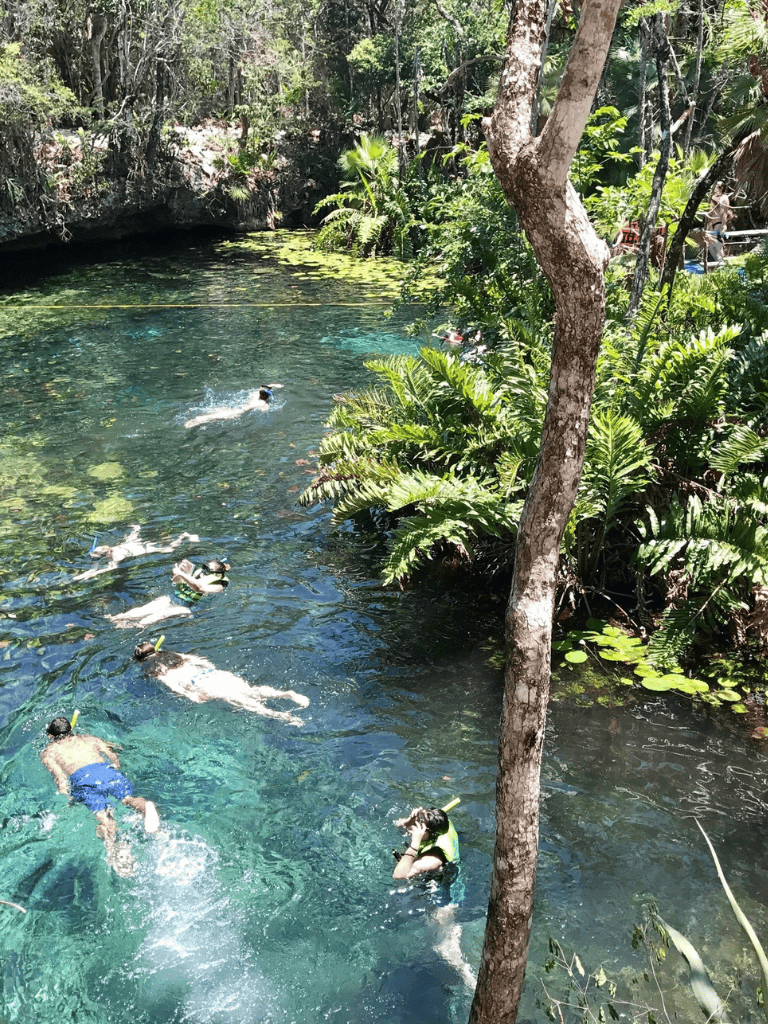 1. Snorkeling in a lush tropical river with clear waters and vibrant greenery.