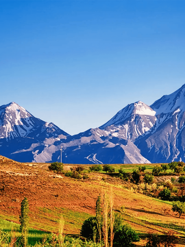 Snow-capped mountains and lush green valleys in New Zealand's scenic landscape, perfect for outdoor adventures.