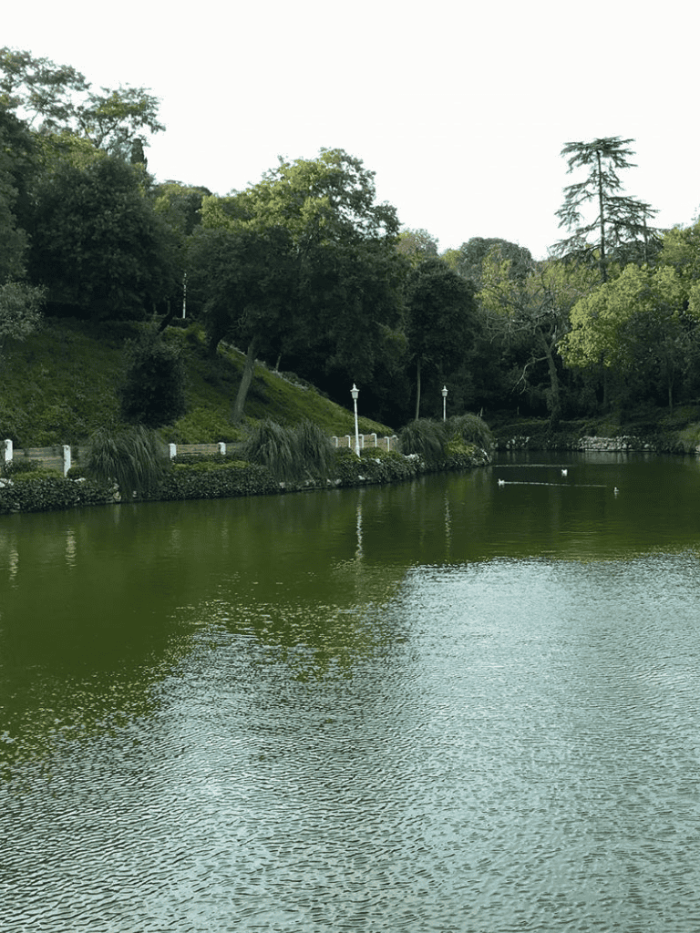 Calm lake surrounded by lush greenery and trees, ideal for relaxation and outdoor activities.