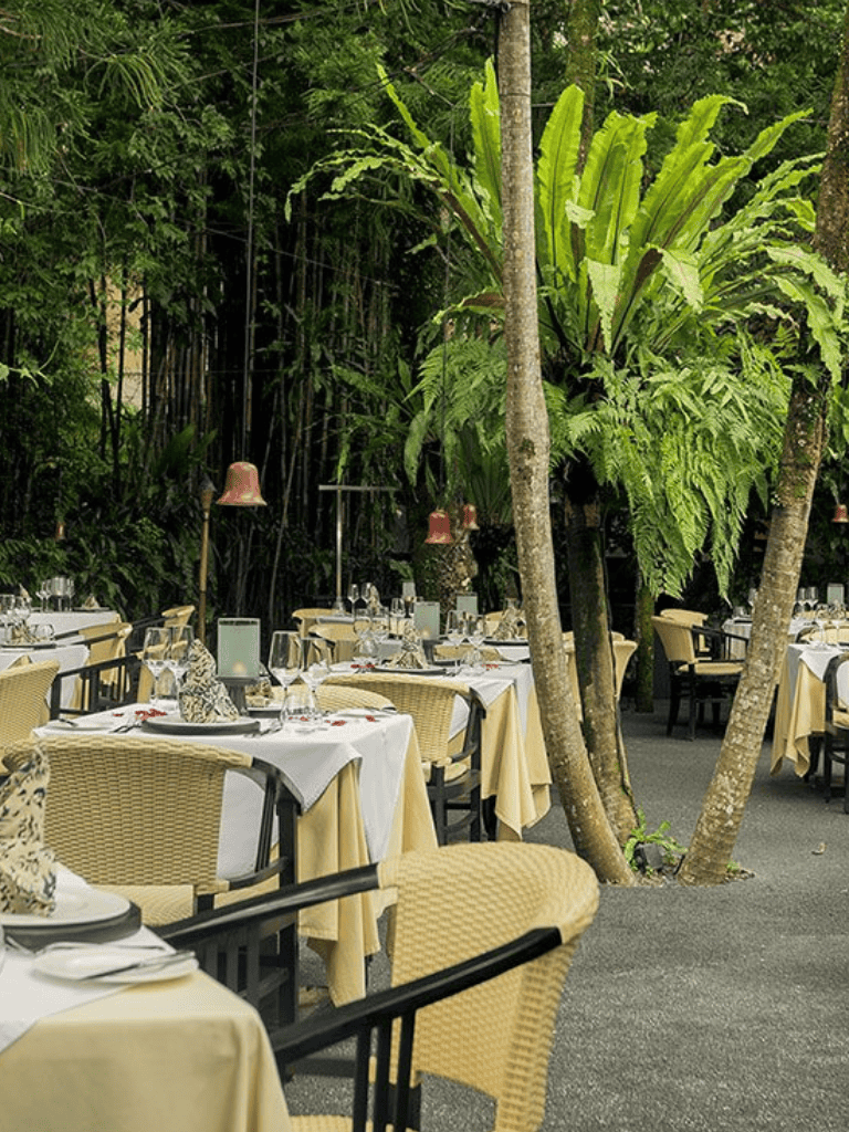 Elegant outdoor dining setup amidst lush green tropical plants and trees, perfect for fine dining experiences.