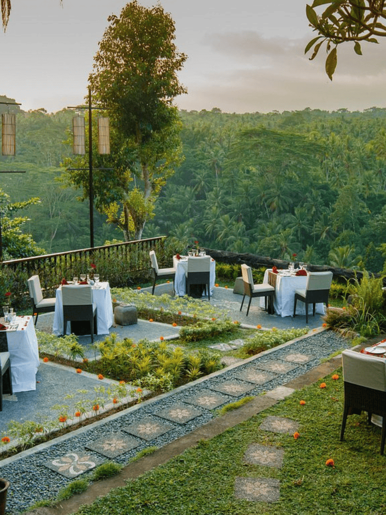 Enjoy scenic outdoor dining with lush rainforest views at QuestForDirections. Perfect for romantic dinners or special occasions.