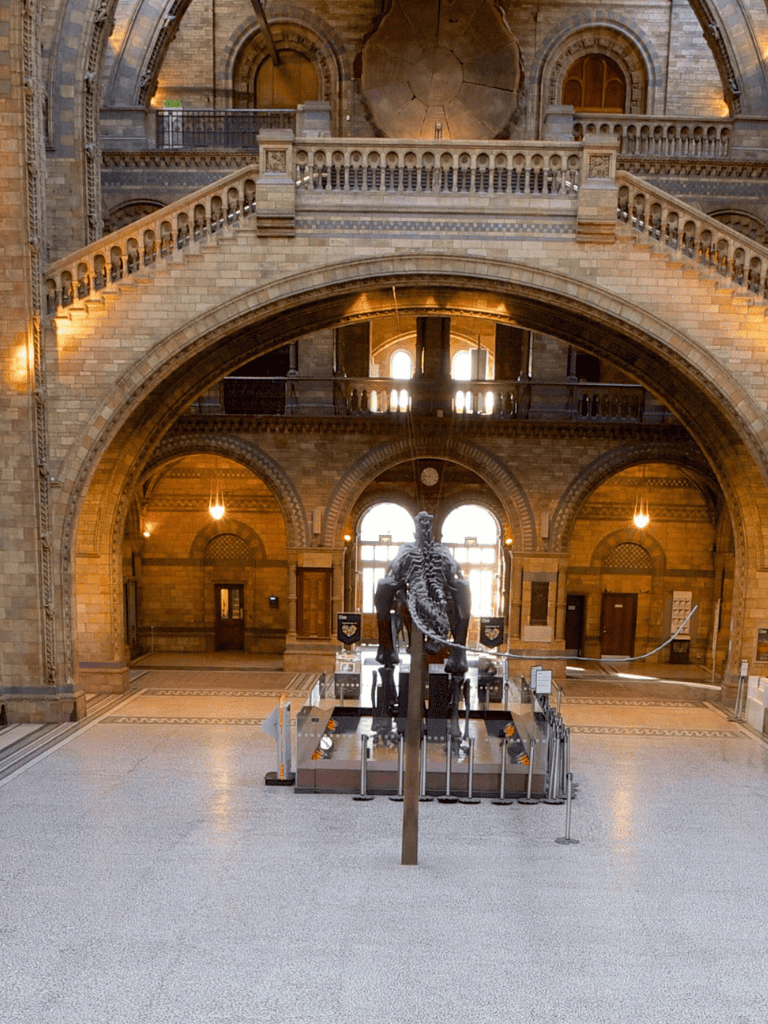 Majestic historic interior featuring a dinosaur skeleton display at QuestForDirections museum.