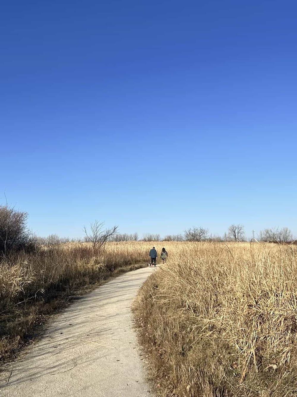 Empty nature trail with two people walking, scenic outdoor adventure and navigation.