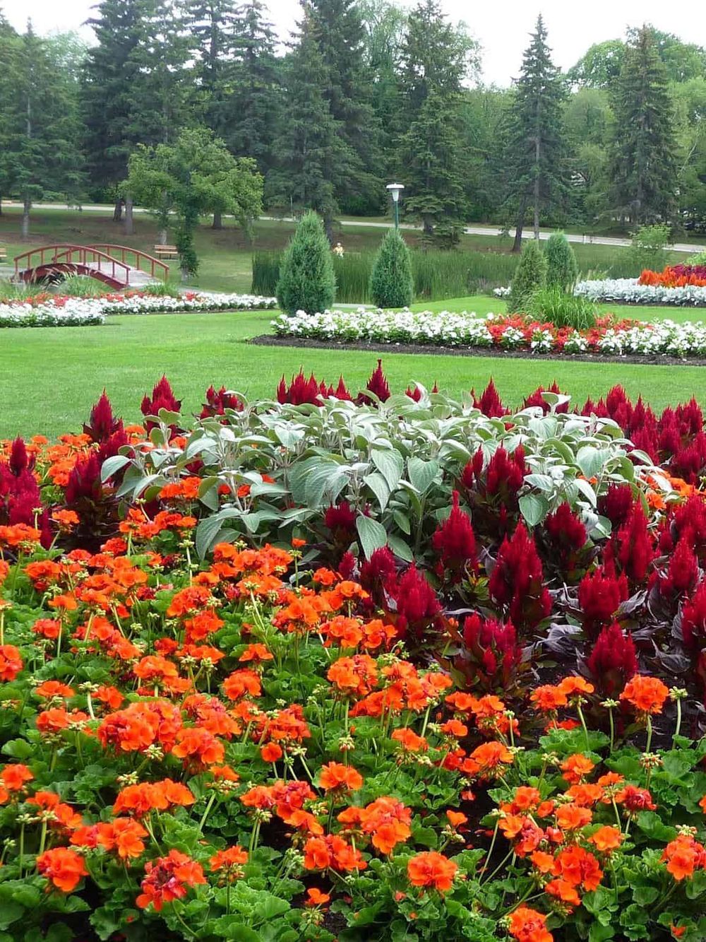 Vibrant flower garden with colorful blooms and lush greenery at QuestForDirections park.