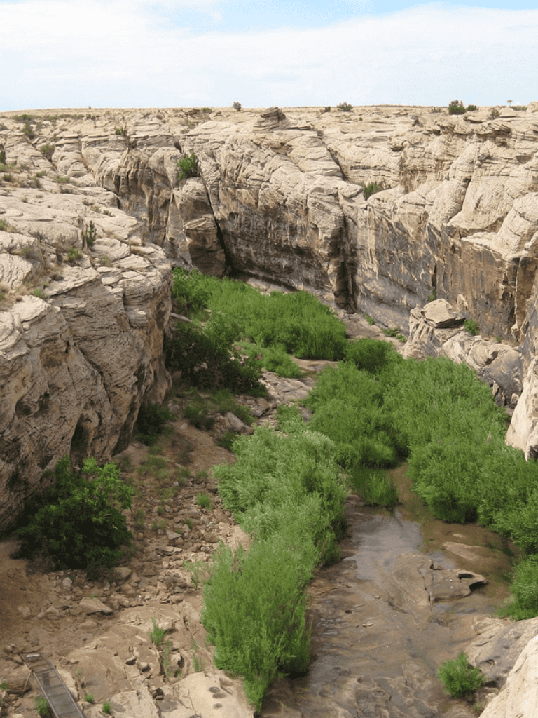 Arid canyon with lush green vegetation along a river in a desert landscape.