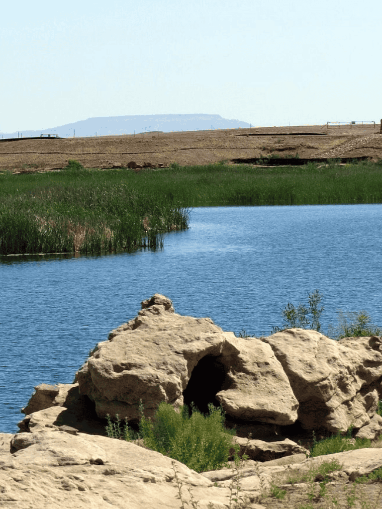 Tranquil river landscape with rocks, green vegetation, and distant hills in natural scenic setting.