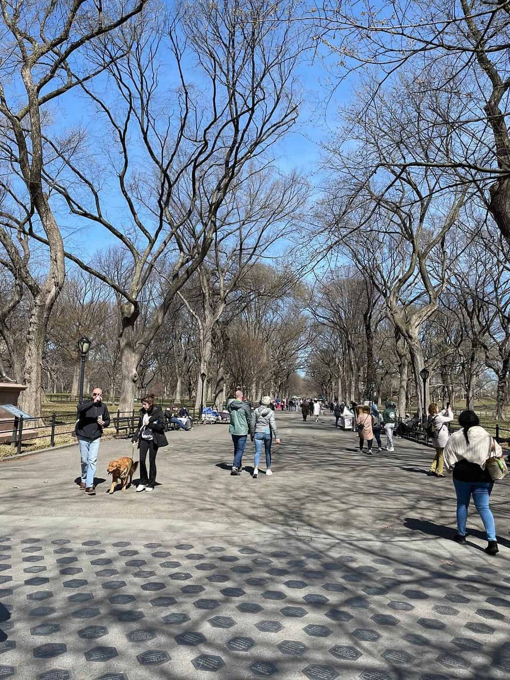 People walking in Central Park, NYC on a sunny day with trees and benches around.