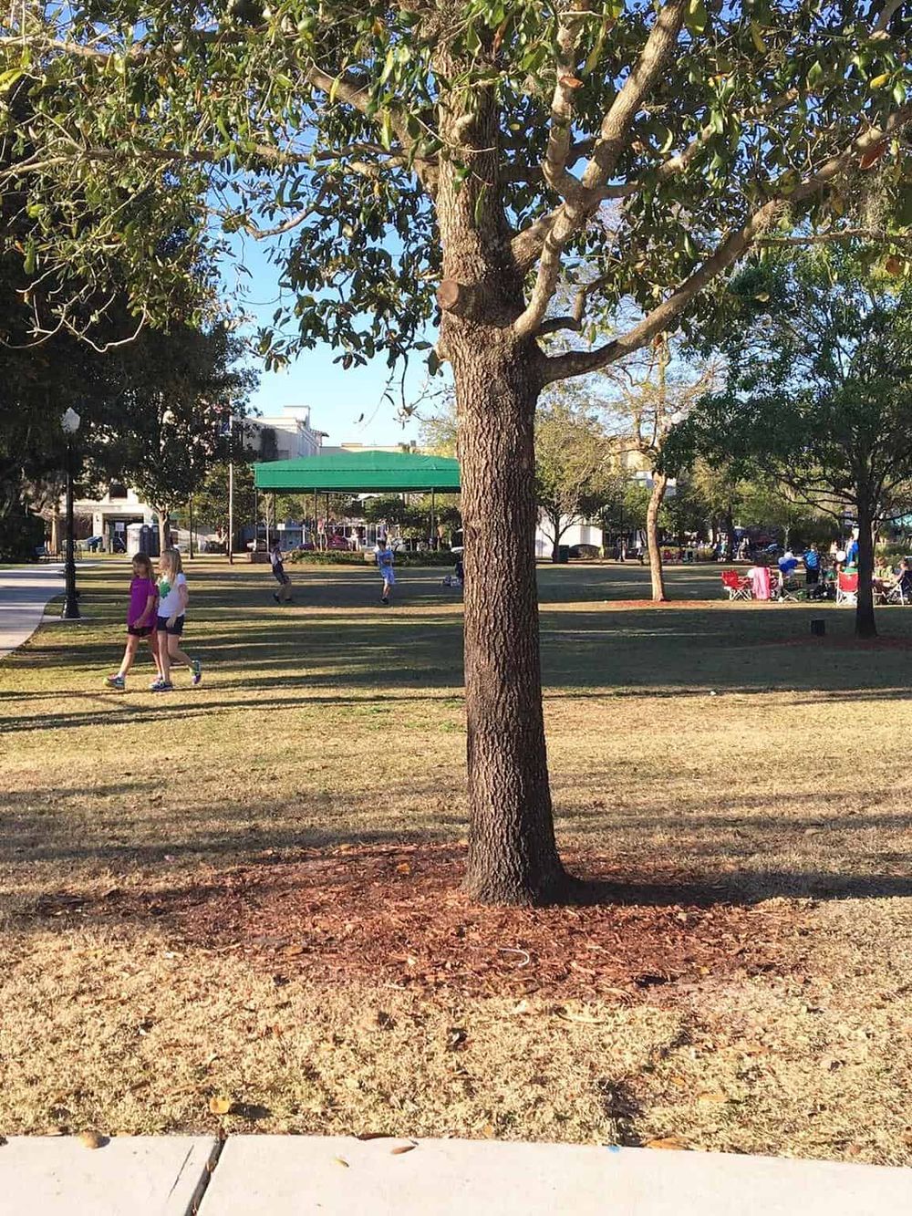 Lush park with children playing under a large tree, urban buildings in the background.