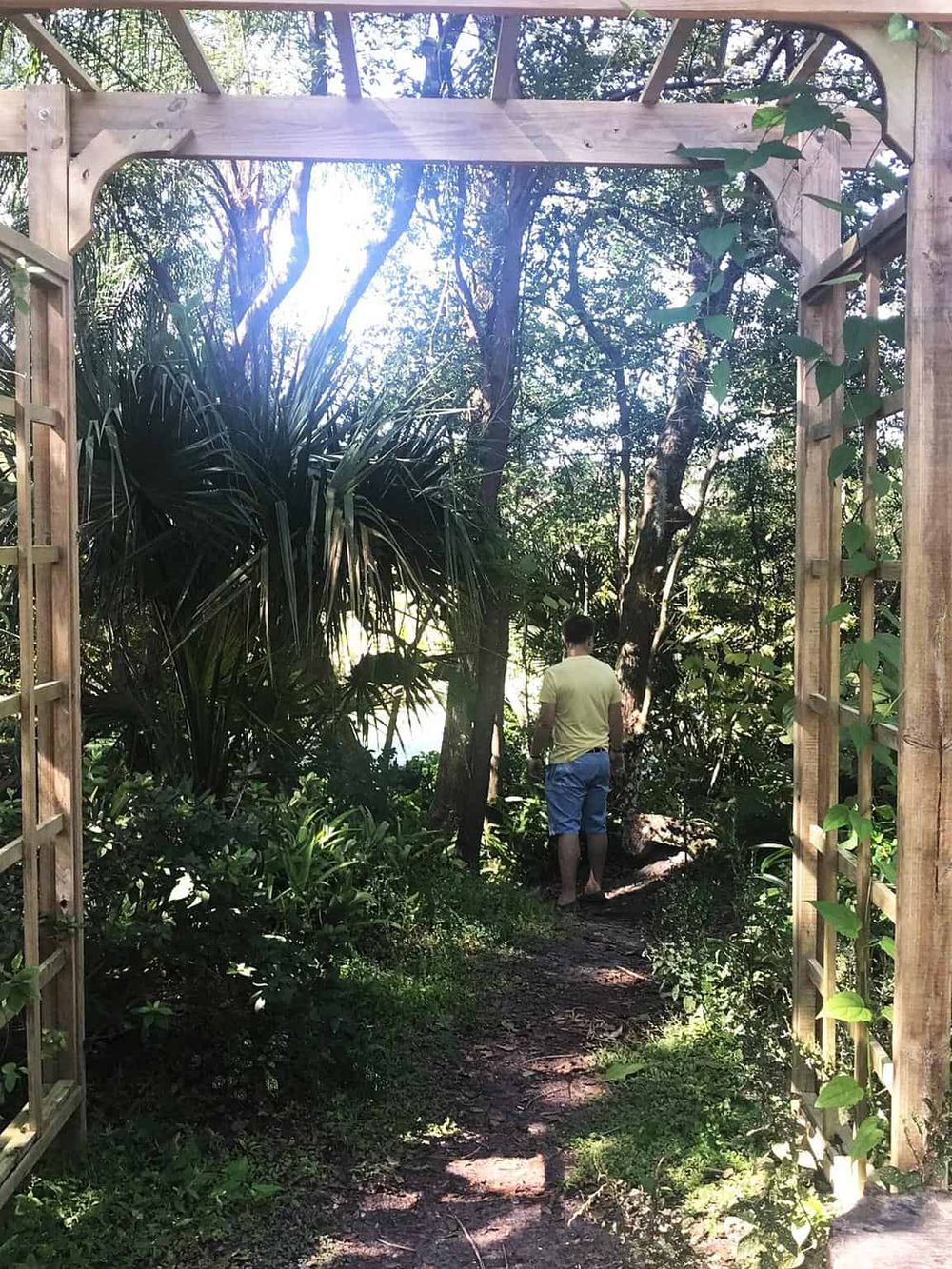 Serene forest path with wooden archway, lush greenery, and a person exploring nature, ideal for outdoor adventure and nature exploration.