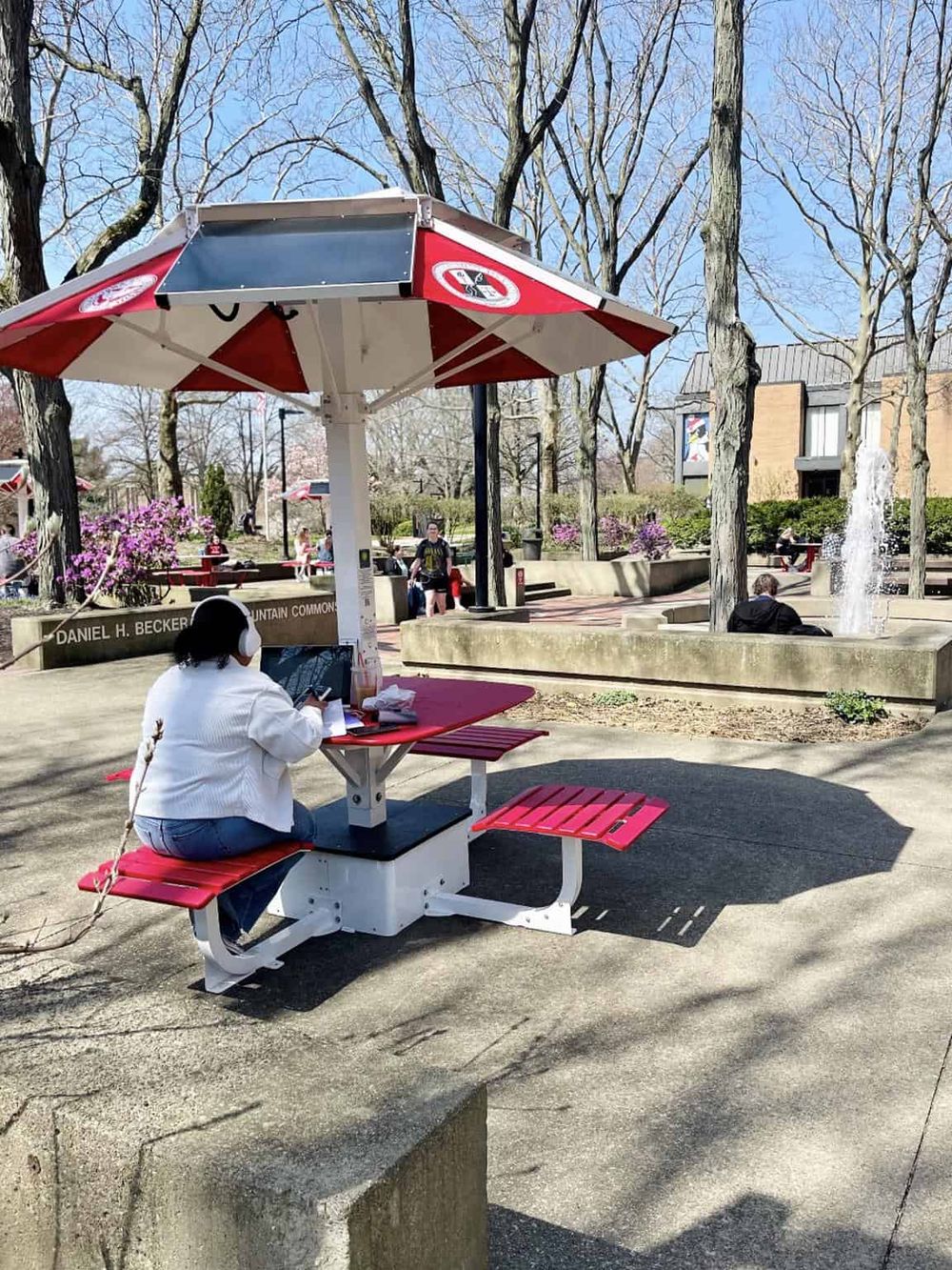 Outdoor park bench with red seating and umbrella, surrounded by trees and spring blooms - QuestForDirections.