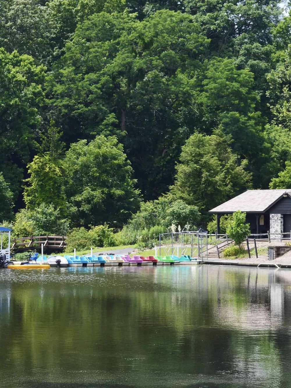 Colorful paddle boats docked on a serene lake with lush green trees in the background.