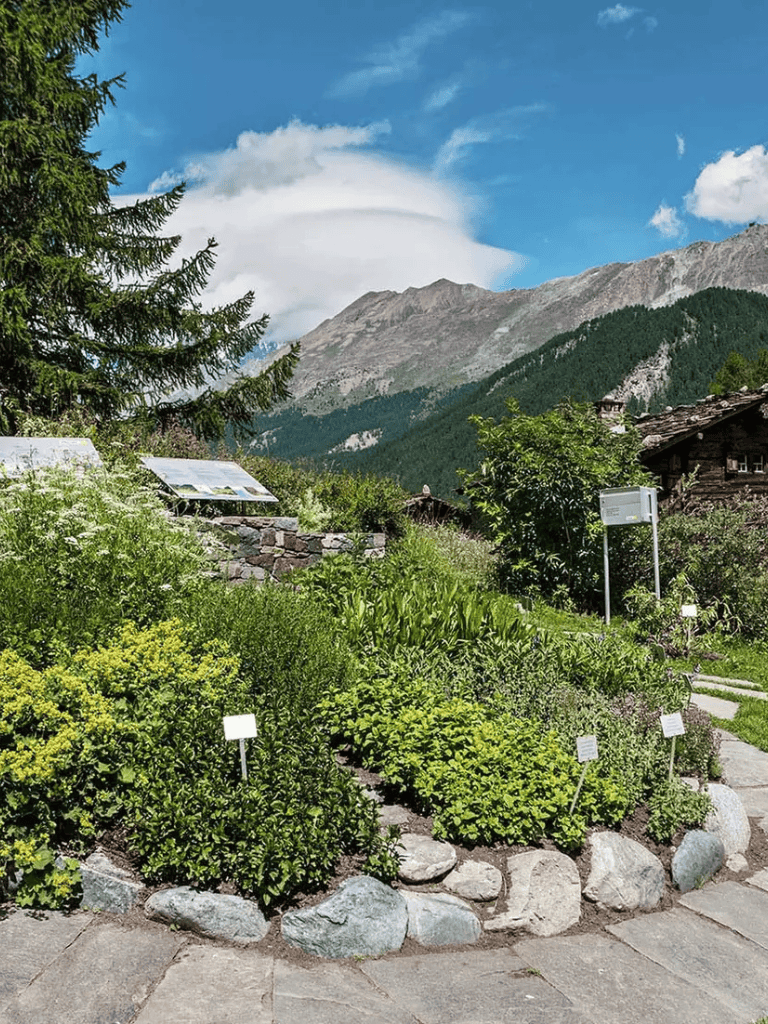 Lush mountain garden with colorful plants, rustic cabins, and scenic mountain backdrop.