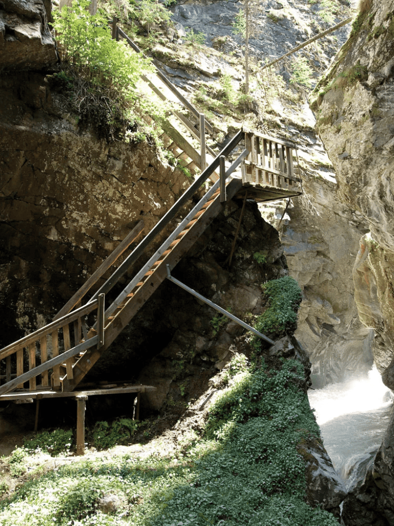 Vivid photo of hiking stairs along a rocky canyon with lush greenery and water stream.