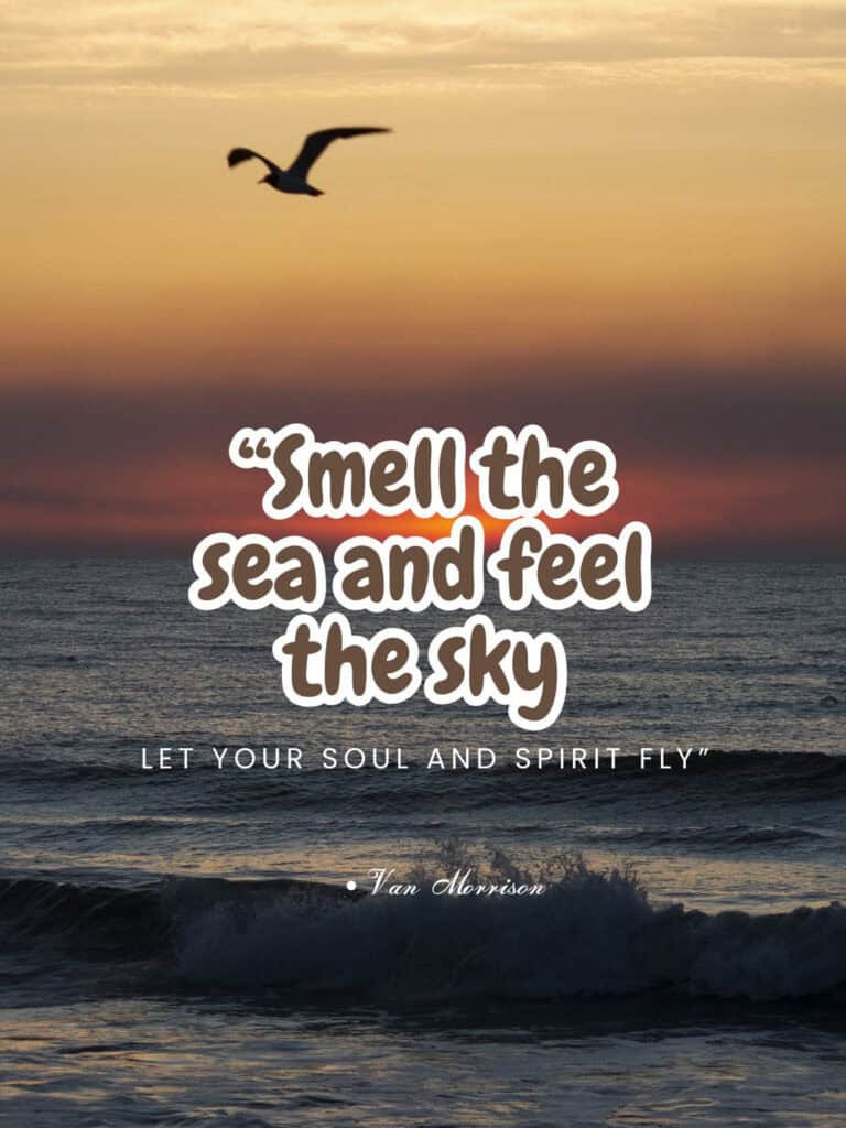 Seagull flying over ocean at sunset, peaceful seaside landscape, inspiring quote about feeling the sky and sea.