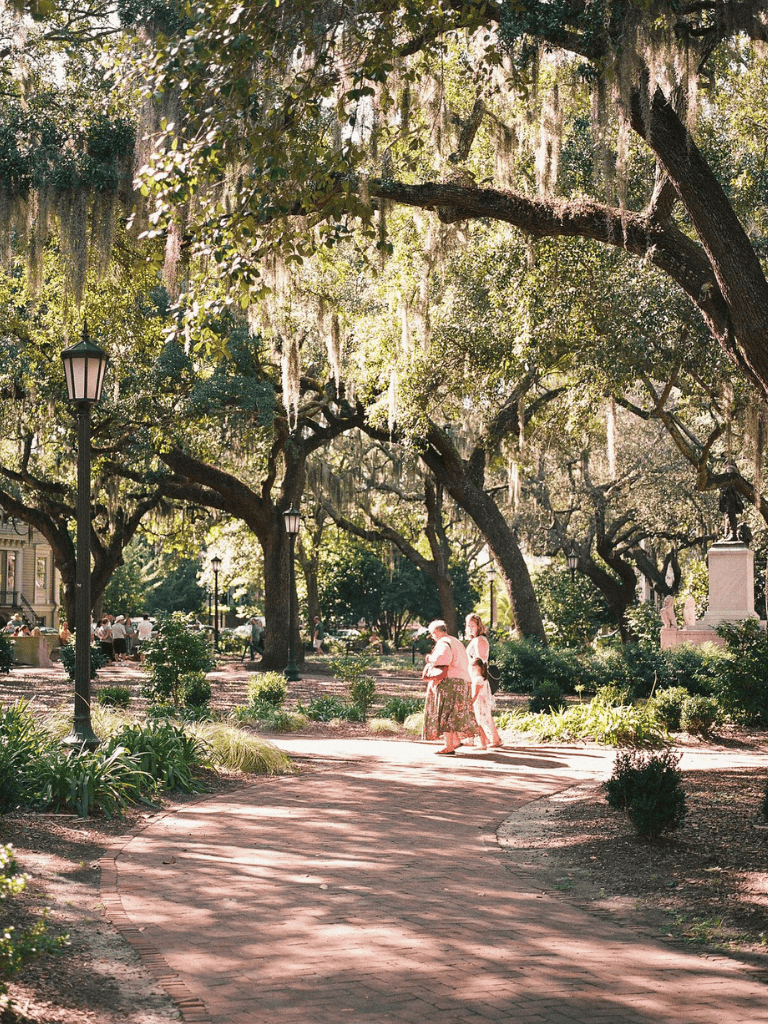 Vibrant park scene with mature Spanish moss-draped trees and walking visitors, showcasing tranquil outdoor space.