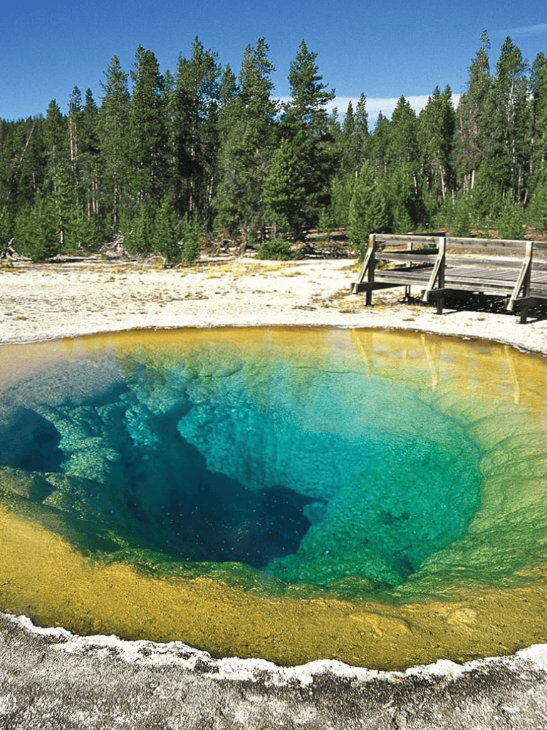 Vibrant geothermal hot spring with lush forest background, Colorado scenic outdoor attraction.