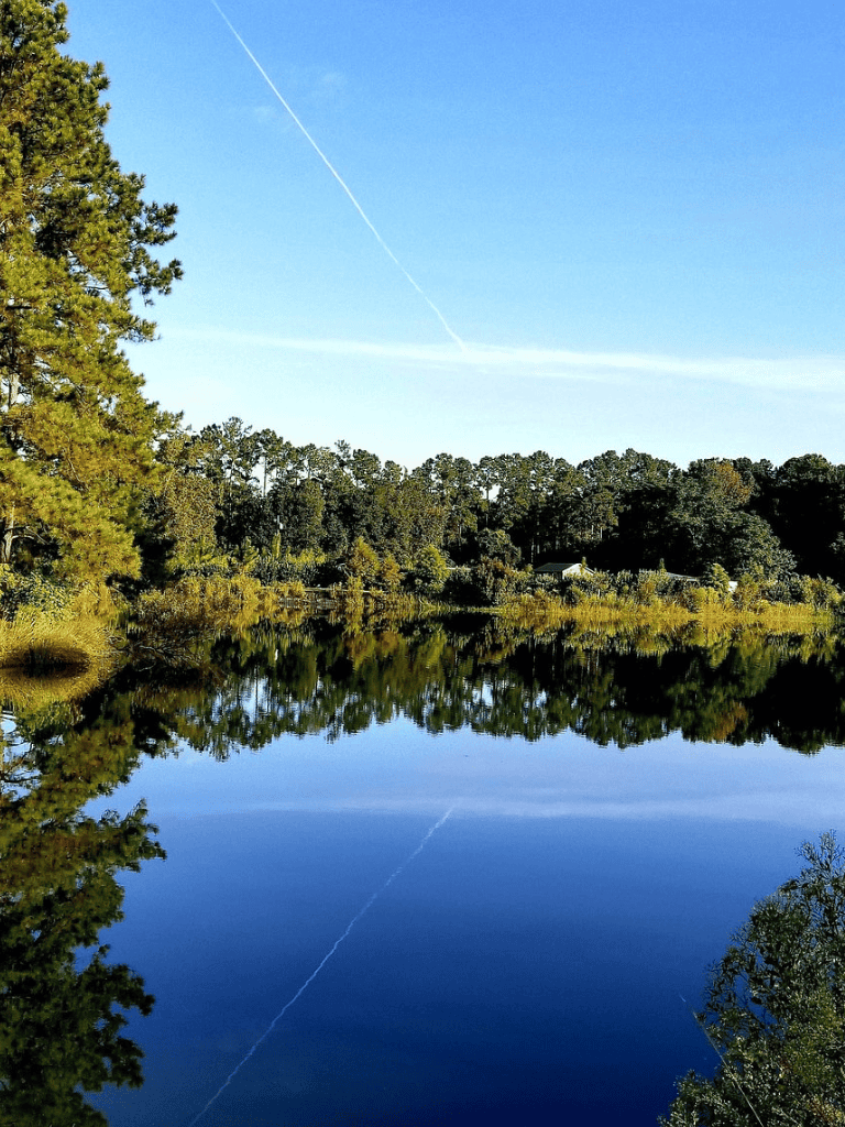Serene lakeside scene with reflection of trees, blue sky, and contrail, perfect for outdoor exploration and nature photography.