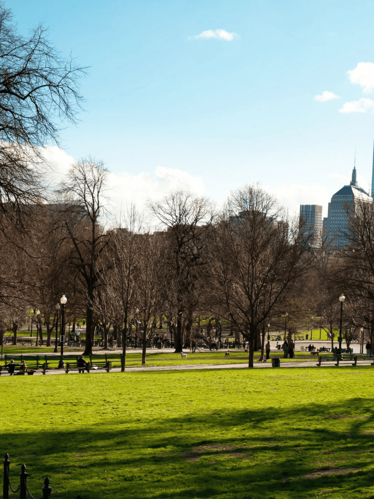Lush green city park with trees and benches, skyline in the background, perfect for outdoor relaxation and urban exploration.