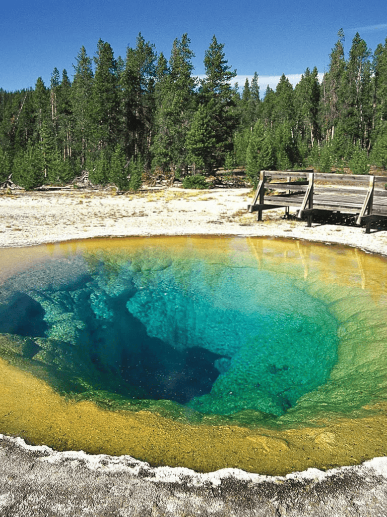 Vibrant hot spring pool surrounded by forest and wooden platform at QuestForDirections.