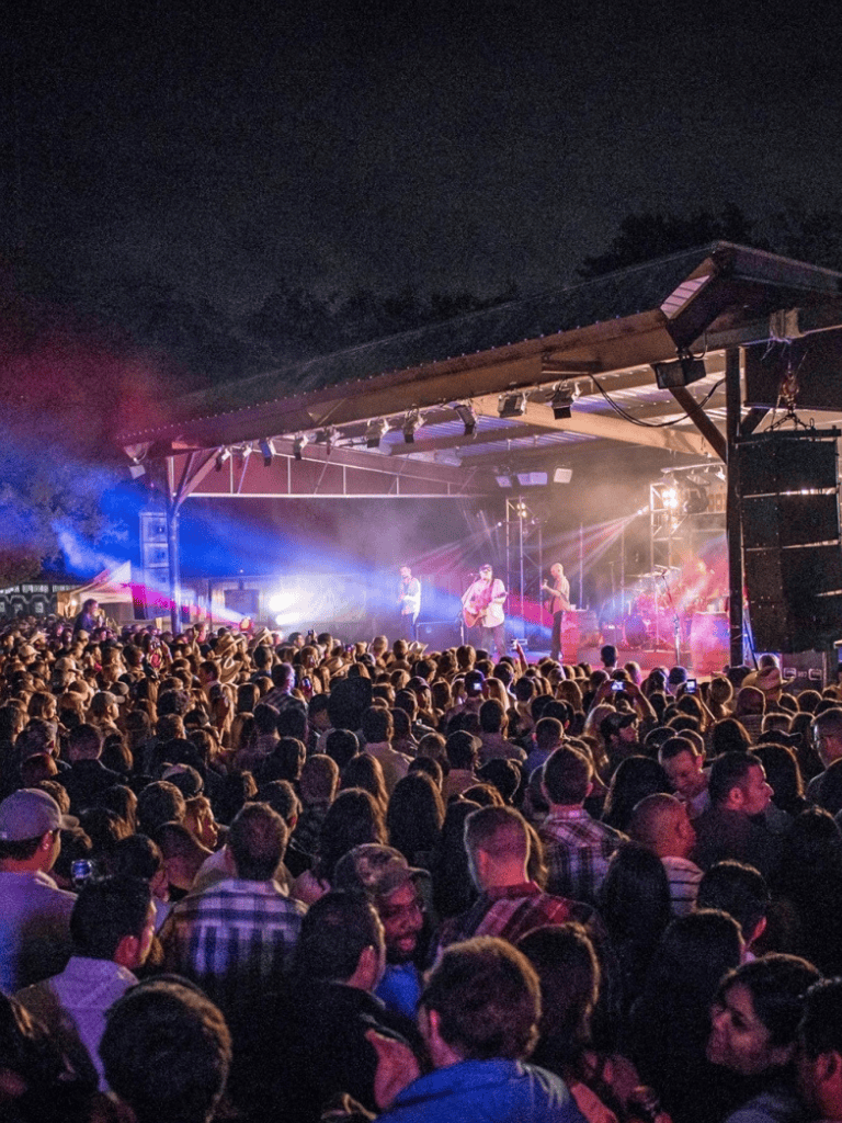 Vibrant outdoor concert at night with large crowd and band performing on stage, colorful lights illuminating the scene.