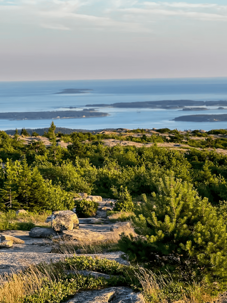 Panoramic view of lush green forest and distant water bodies at QuestForDirections.