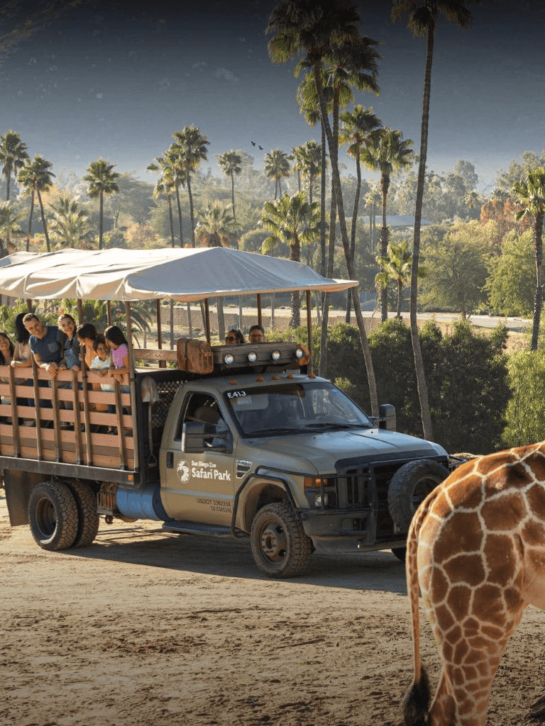 Open-air safari vehicle at San Diego Zoo Safari Park with visitors and giraffe in natural setting.