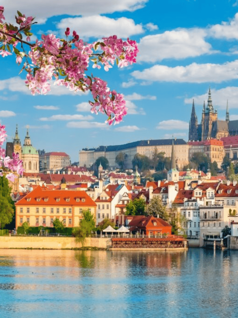 Pink cherry blossoms overlooking a scenic European cityscape with historic buildings and a river, perfect for travel planning.