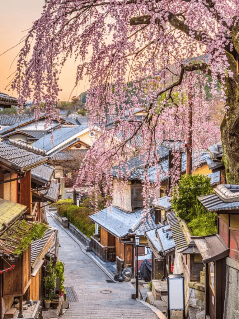 Pink cherry blossom trees over traditional Japanese houses in a scenic village setting.