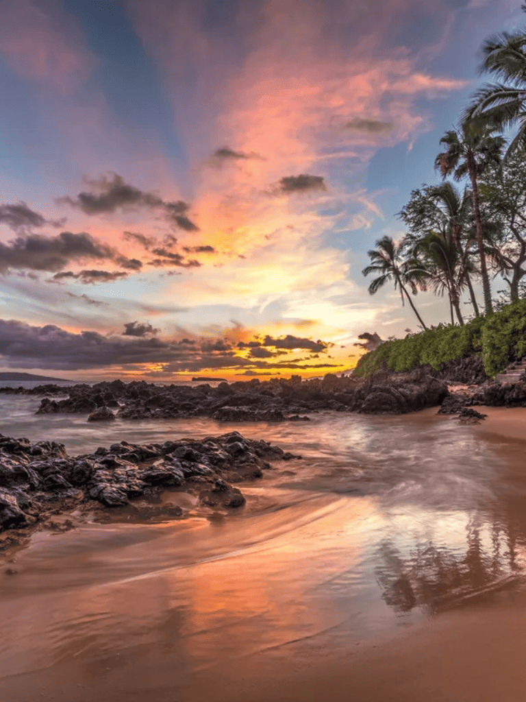 Vibrant sunset over tropical beach with palm trees and rocky shoreline, scenic ocean view for travel inspiration.