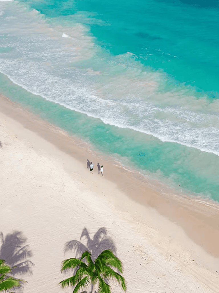 Pristine beach with turquoise waters and palm trees, perfect for relaxing or beach activities.
